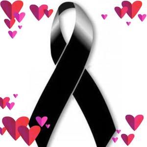 Meet your Posher, Cesar